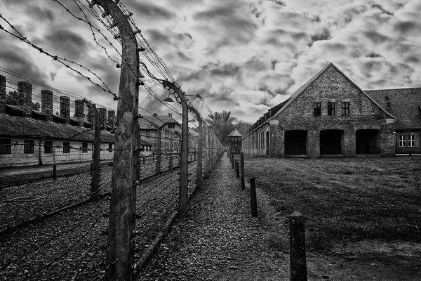 Der Spiegel приписал освобождение Освенцима американцам
