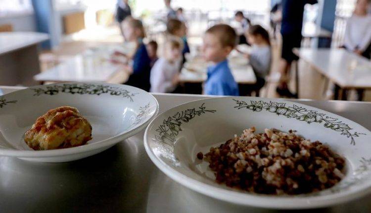 Бесплатное горячее питание получат 5,2 млн учеников начальных классов