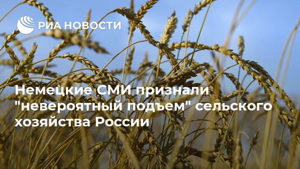 Немецкие СМИ признали "невероятный подъем" сельского хозяйства России