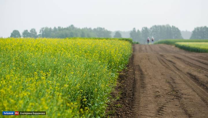 В Томской области создадут первую в России агрометеоплатформу для прогнозирования урожайности