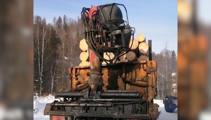 Из Иркутской области незаконно пытались вывезти большую партию древесины