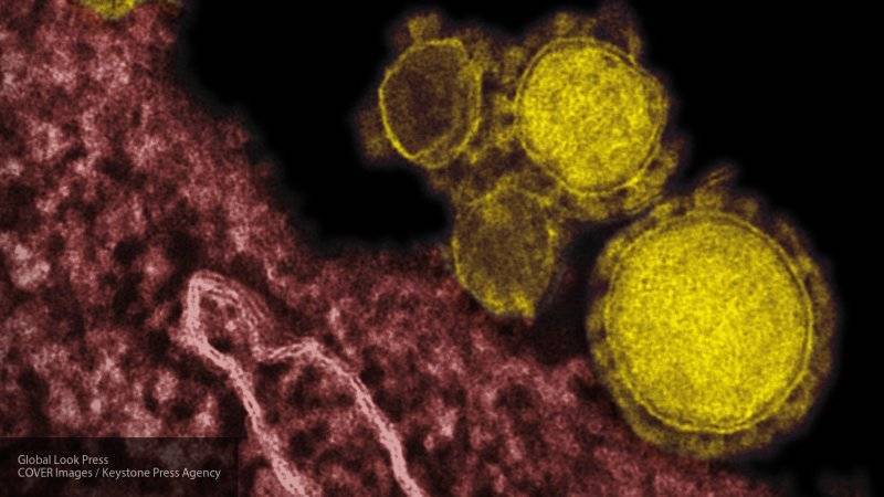 Минздрав Японии рассказал о первом заразившемся коронавирусом, который не посещал КНР