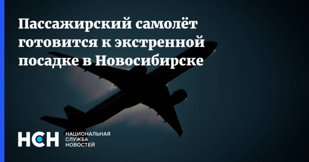 Пассажирский самолёт готовится к экстренной посадке в Новосибирске