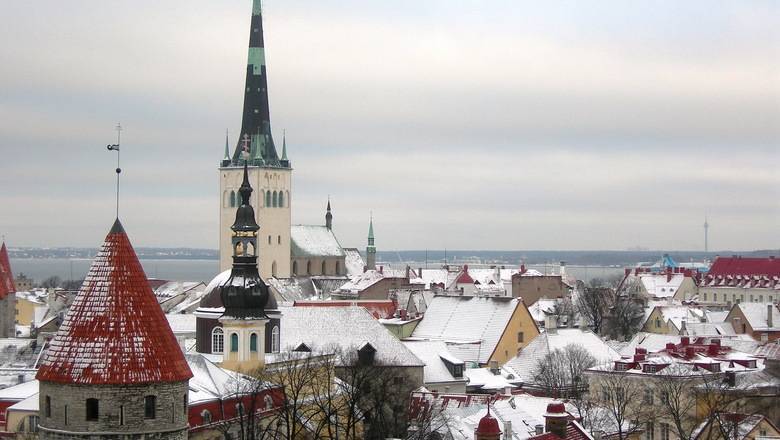 Эстония упростила получение гражданства детям неграждан