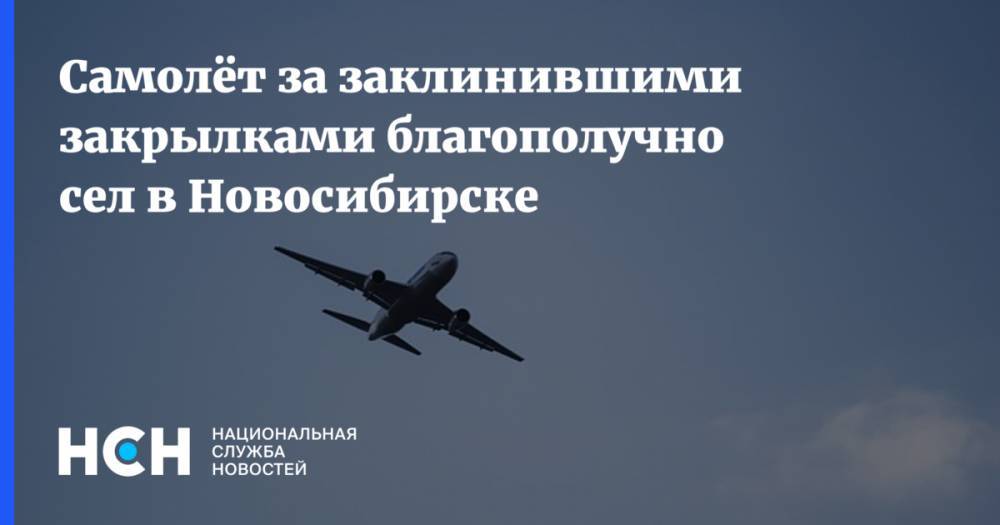Самолёт за заклинившими закрылками благополучно сел в Новосибирске