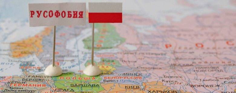 «Польша пытается подленько заработать на Второй мировой войне» – Кедми