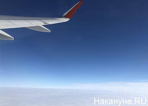 Самолет из Новосибирска в Екатеринбург вернулся обратно из-за сработавшей сигнализации