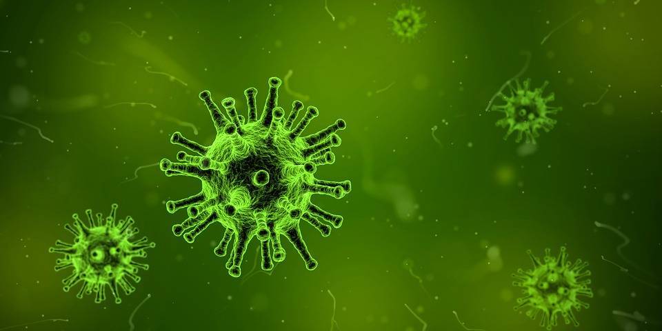 Названы новые симптомы и способы заражения коронавирусом - Cursorinfo: главные новости Израиля