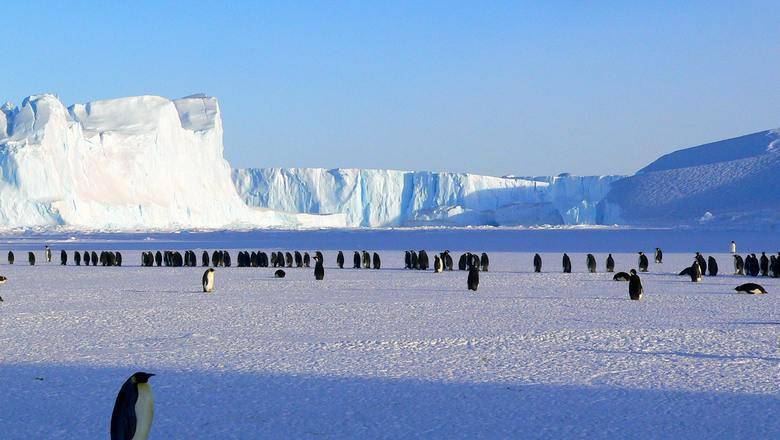 Полярник Валерий Лукин заявил, что потепление угрожает только западу Антарктиды