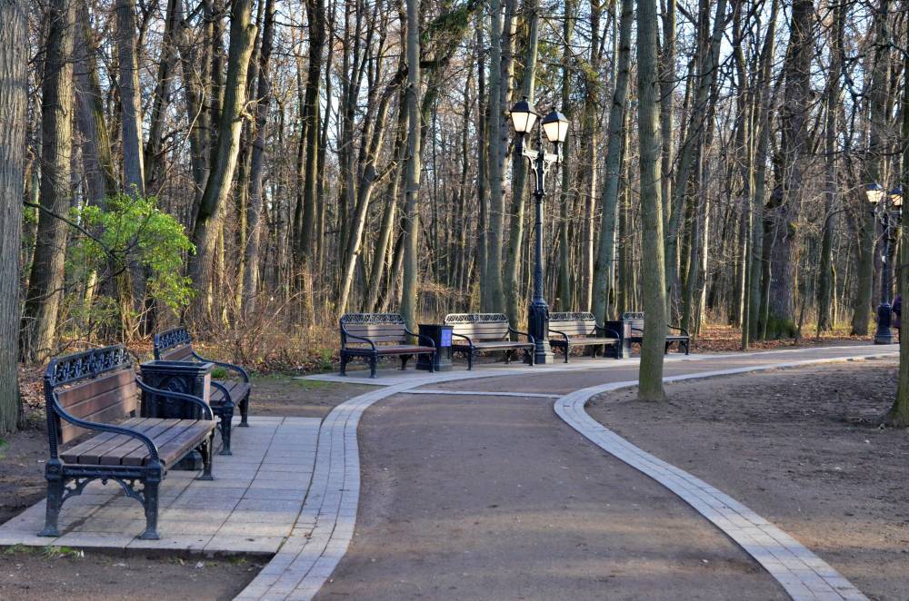 Все парки Московской области благоустроят в нынешнем году