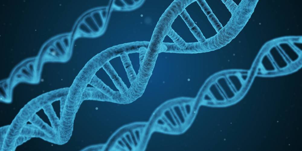 Российские учёные создали ДНК-наноробота, способного убивать раковые клетки
