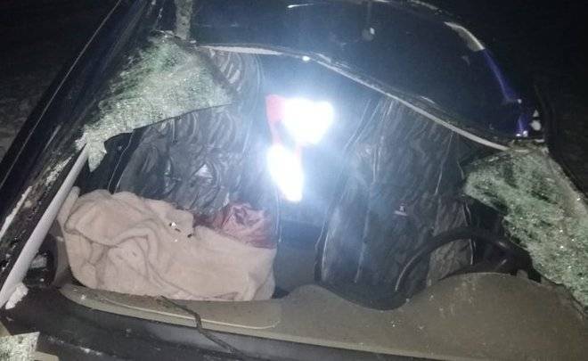 В Татарстане автоледи получила тяжелые травмы после столкновения с лосем