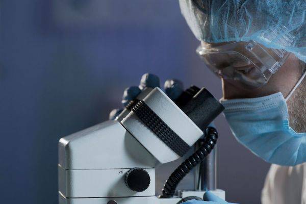 Австралийские ученые вырастили коронавирус: это поможет в борьбе с ним
