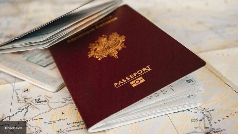 МИД России за 4 месяца выдал более 100 тысяч электронных виз для посещения Петербурга