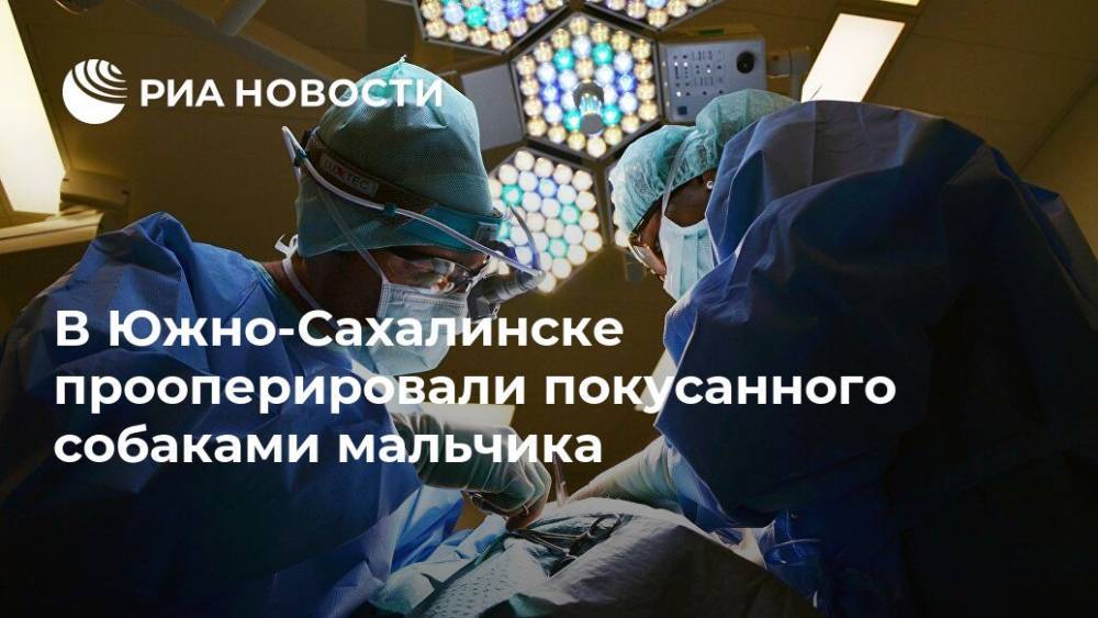 В Южно-Сахалинске прооперировали покусанного собаками мальчика