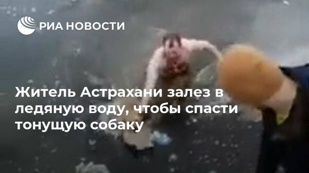 Житель Астрахани залез в ледяную воду, чтобы спасти тонущую собаку