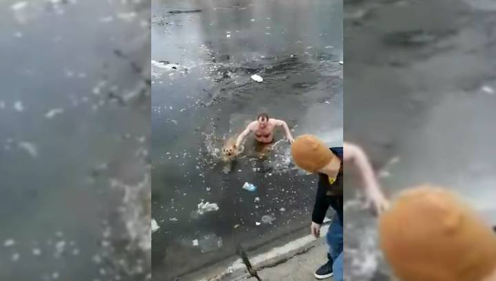 Астраханец забрался в ледяную воду ради спасения собаки
