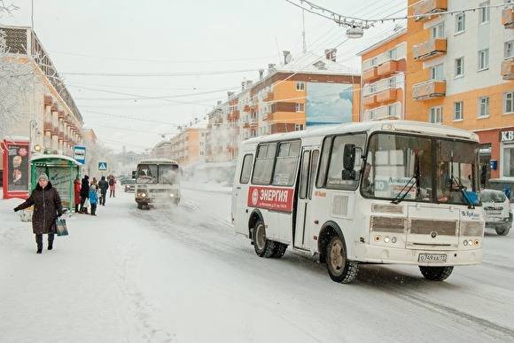 В «ЕР» призвали регионы запретить ссаживать детей без билетов из транспорта в морозы