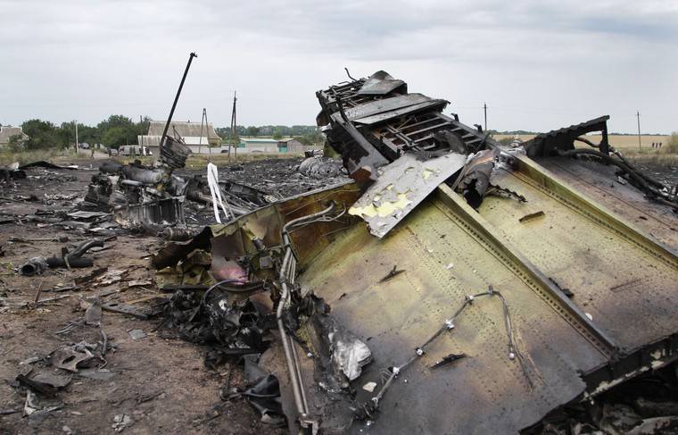 Свидетелем по делу MH17 готов стать частный детектив из Германии