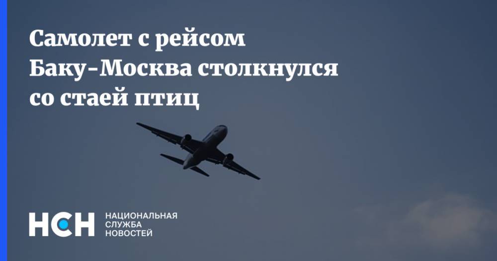 Самолет с рейсом Баку-Москва столкнулся со стаей птиц
