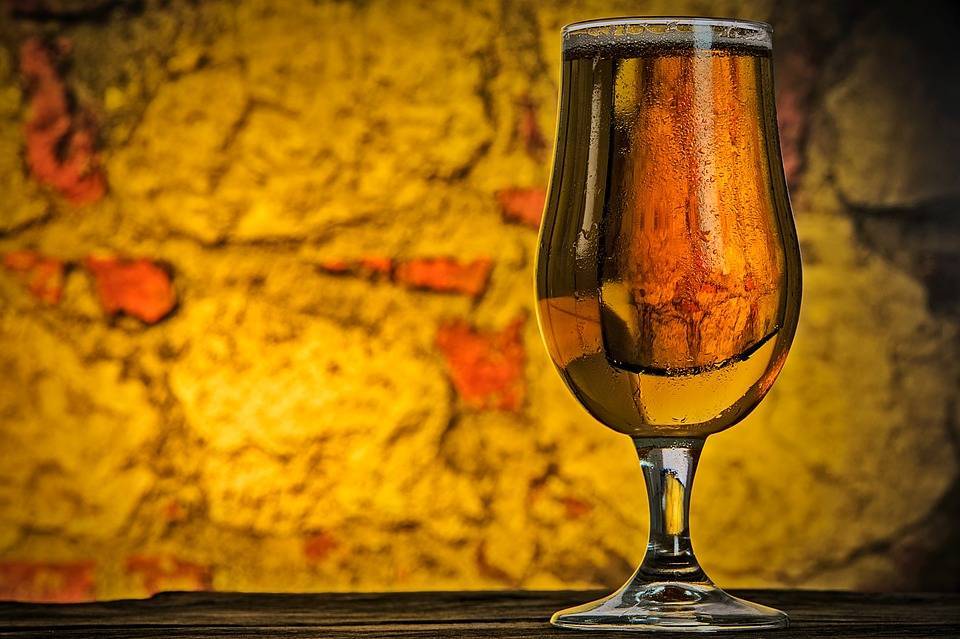 Голландские пивовары сварили пиво из елок - Cursorinfo: главные новости Израиля