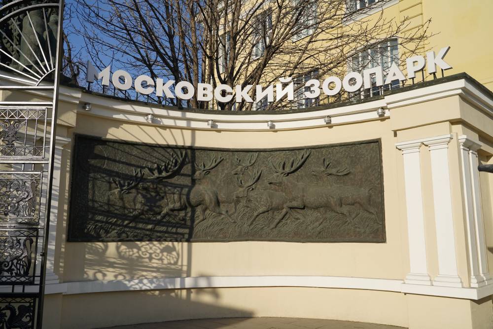 Лекции про не засыпающих зимой зверей пройдут в Московском зоопарке