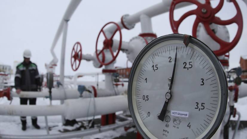В Минске назвали цену поставок российского газа на январь — февраль