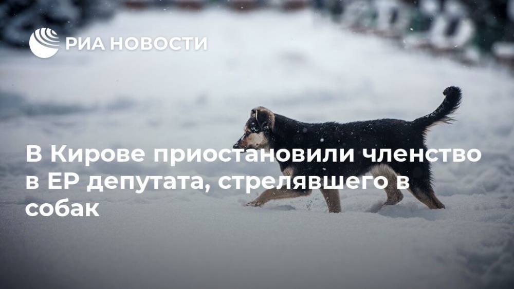 В Кирове приостановили членство в ЕР депутата, стрелявшего в собак
