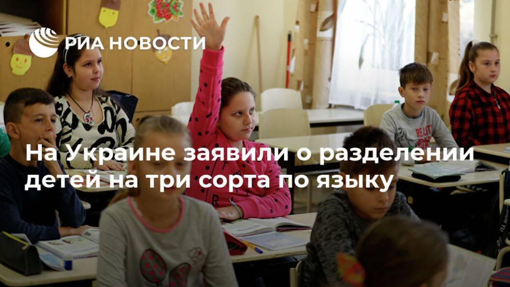 На Украине заявили о разделении детей на три сорта по языку