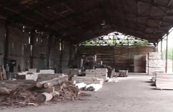 Арестован член ОПГ, заработавшей ₽458 млн на контрабанде в Китай древесины ценных пород