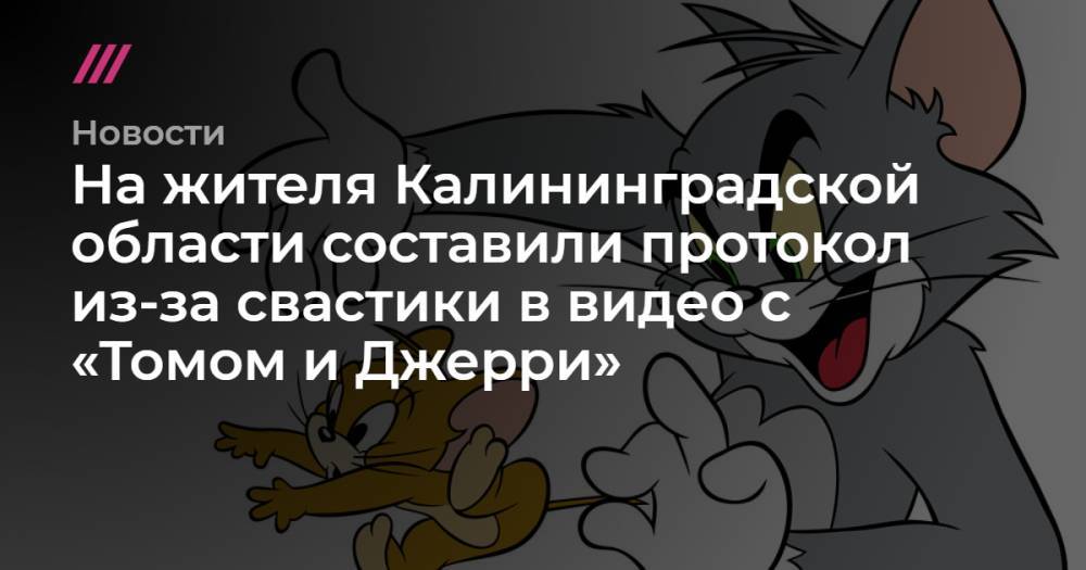 На жителя Калининградской области составили протокол из-за свастики в видео с «Томом и Джерри»