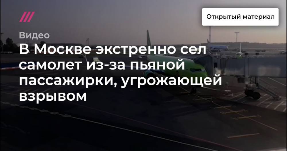 В Москве экстренно сел самолет из-за пьяной пассажирки, угрожающей взрывом