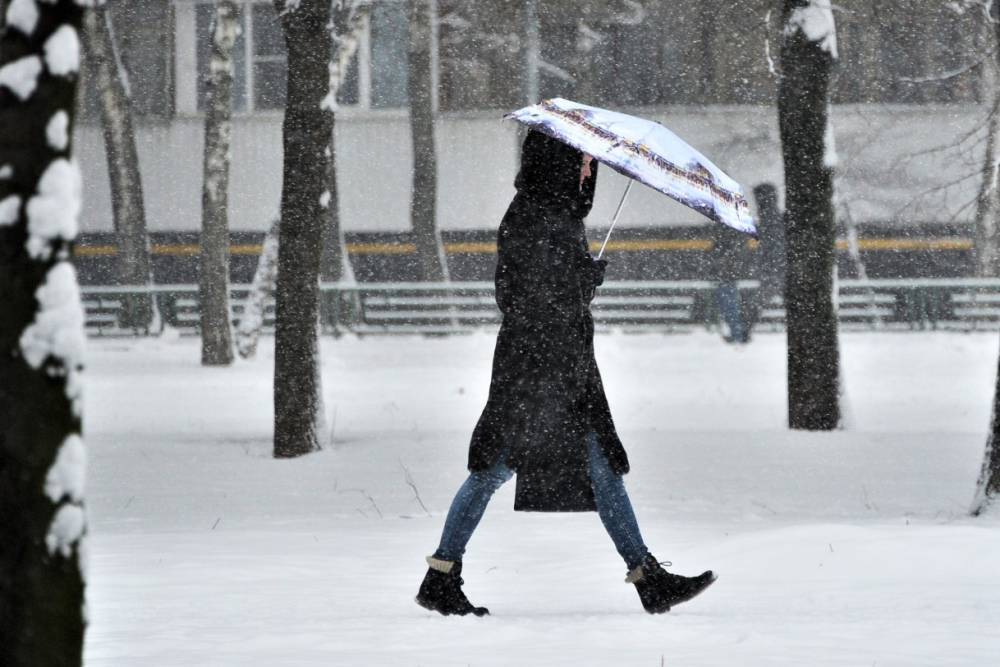 Синоптики спрогнозировали снежный покров высотой до 11 сантиметров 31 января