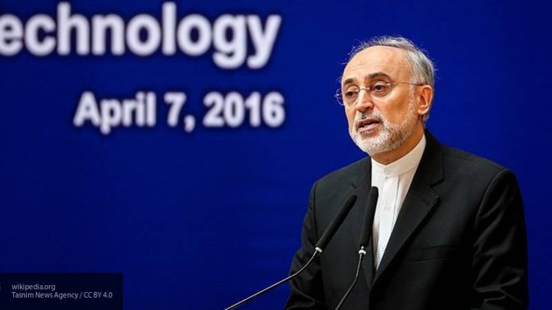 Минфин США ввел санкции против Организации атомной энергии Ирана и ее руководителя