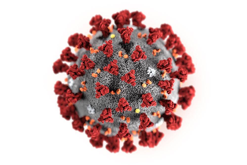 В США уханьский коронавирус впервые передался от человека к человеку