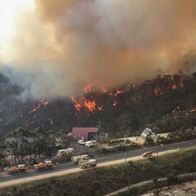В столичном регионе Австралии ввели чрезвычайное положение из-за пожаров