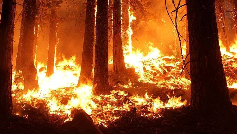Лесные пожары в Австралии вспыхнули с новой силой: жителей готовят к эвакуации - Cursorinfo: главные новости Израиля