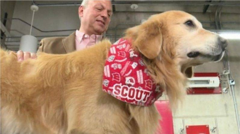 В благодарность за спасение жизни своего пса хозяин заплатил $6 млн.