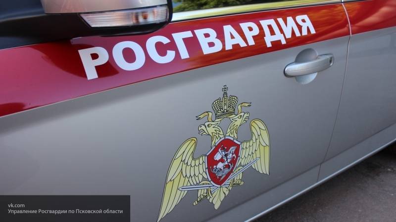 Сотрудники Росгвардии оказали помощь пострадавшим в двух ДТП в Новой Москве
