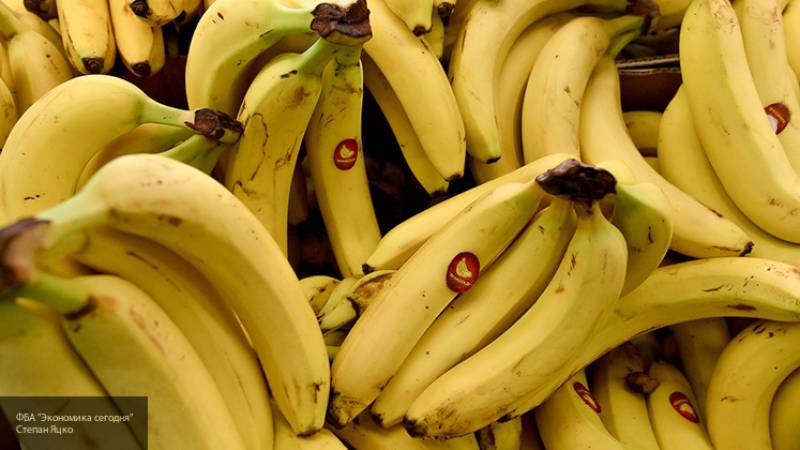 Вирусолог опроверг слухи о возможности подхватить коронавирус через бананы
