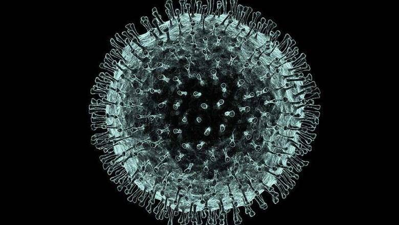 Придется потерпеть: вакцина против коронавируса будет готова через год