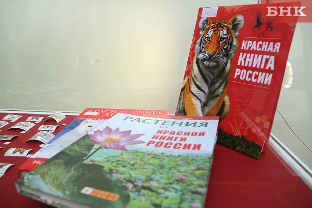 Какие животные и птицы Коми попадут в обновленную Красную книгу России