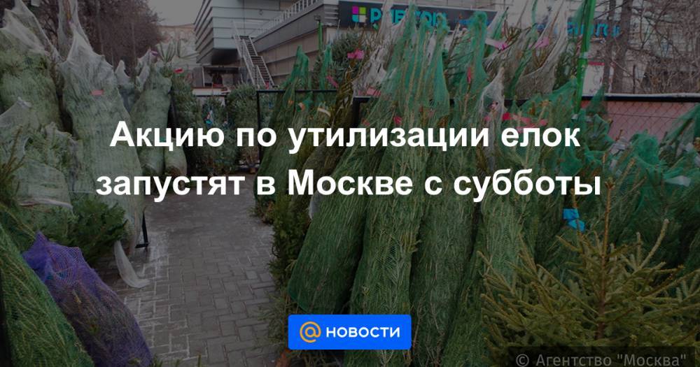 Акцию по утилизации елок запустят в Москве с субботы