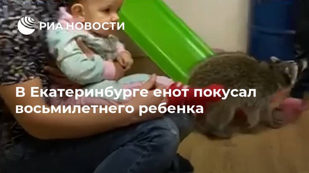 В Екатеринбурге енот покусал восьмилетнего ребенка
