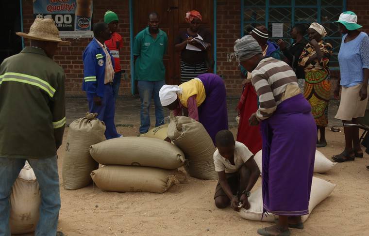 Жителям Зимбабве из-за засухи грозит голод