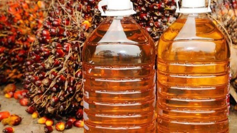 Шило на мыло: Россия может заменить вредное пальмовое масло не менее вредным соевым