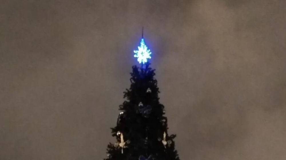 Сильный ветер снес новогоднюю елку в центре Петрозаводска