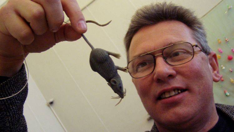 Зачем Кошкин подарил 400 мышей Мышкину