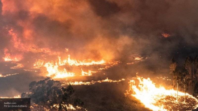 США направили более 100 человек в Австралию для тушения природных пожаров