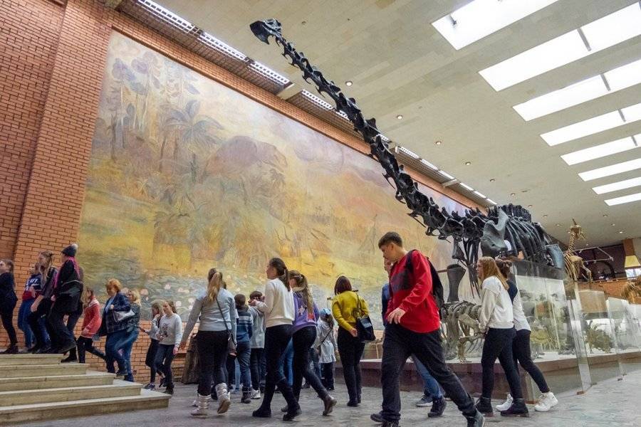 Московские школьники за год бесплатно сходили в музеи более 500 тыс раз
